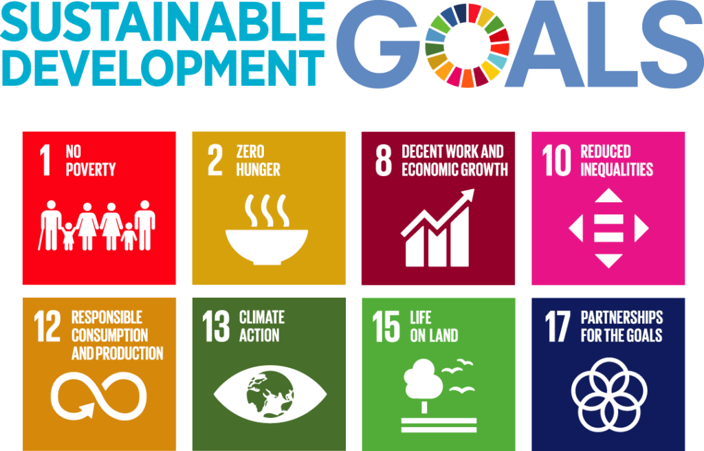 Sustainable development goals icon