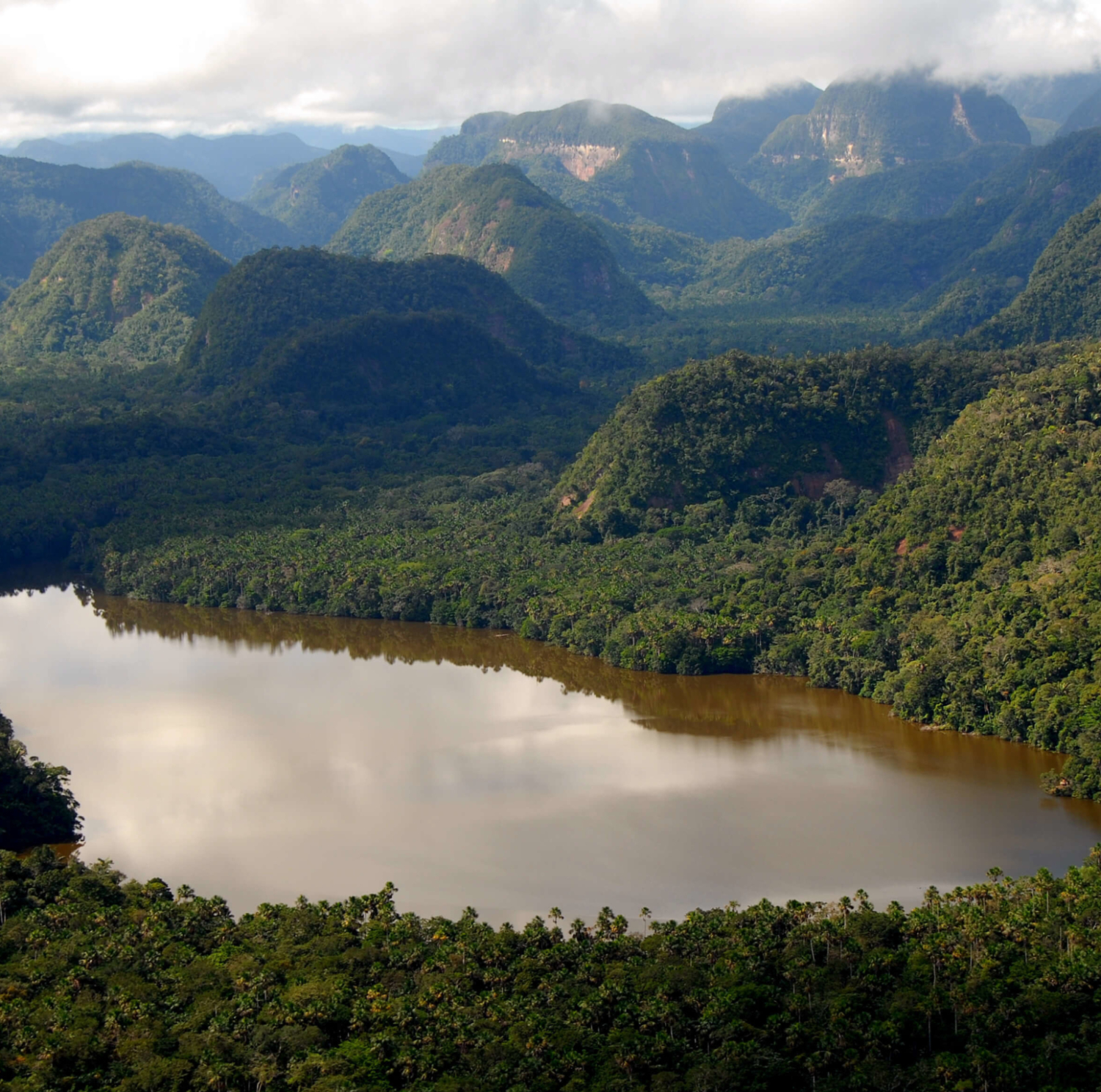 A photo of a lagoon in the Peruvian rainforest