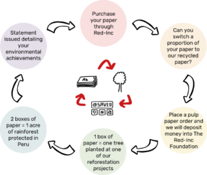 Plant one protect one initiative lifecycle diagram