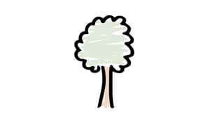 Tree icon
