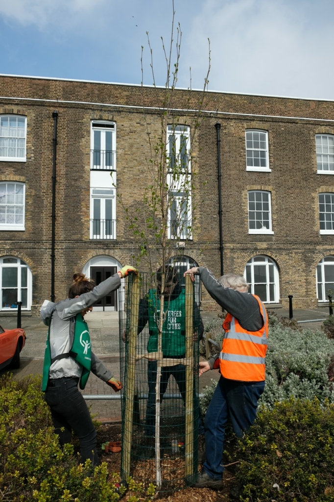 Trees For Cities RedInc