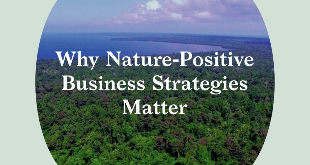 Trees representing nature-positive procurement and biodiversity protection